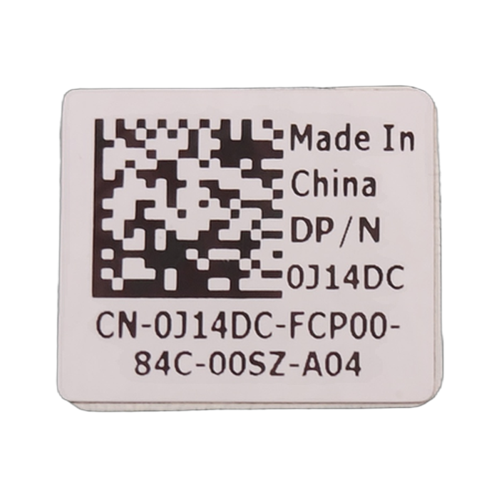 1000006282.jpg