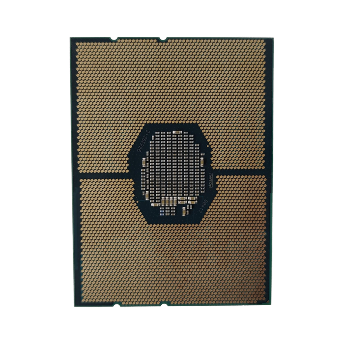 1000019561.jpg