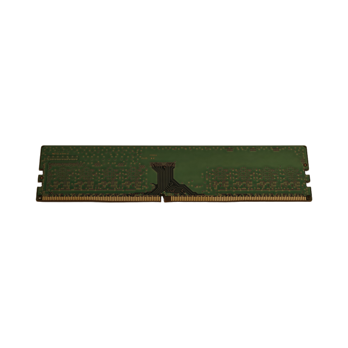 1000008372.jpg