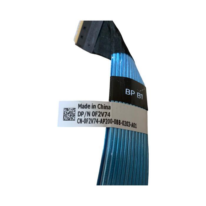 IMG_6750.png