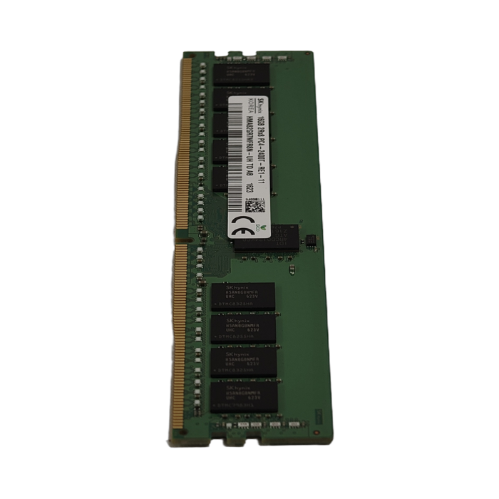 1000009182.jpg